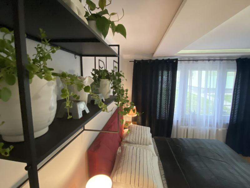 Apartament ,, Sen I Kawa" - Komfortowy Nocleg W Sercu Aglomeracji Bytom Exteriér fotografie